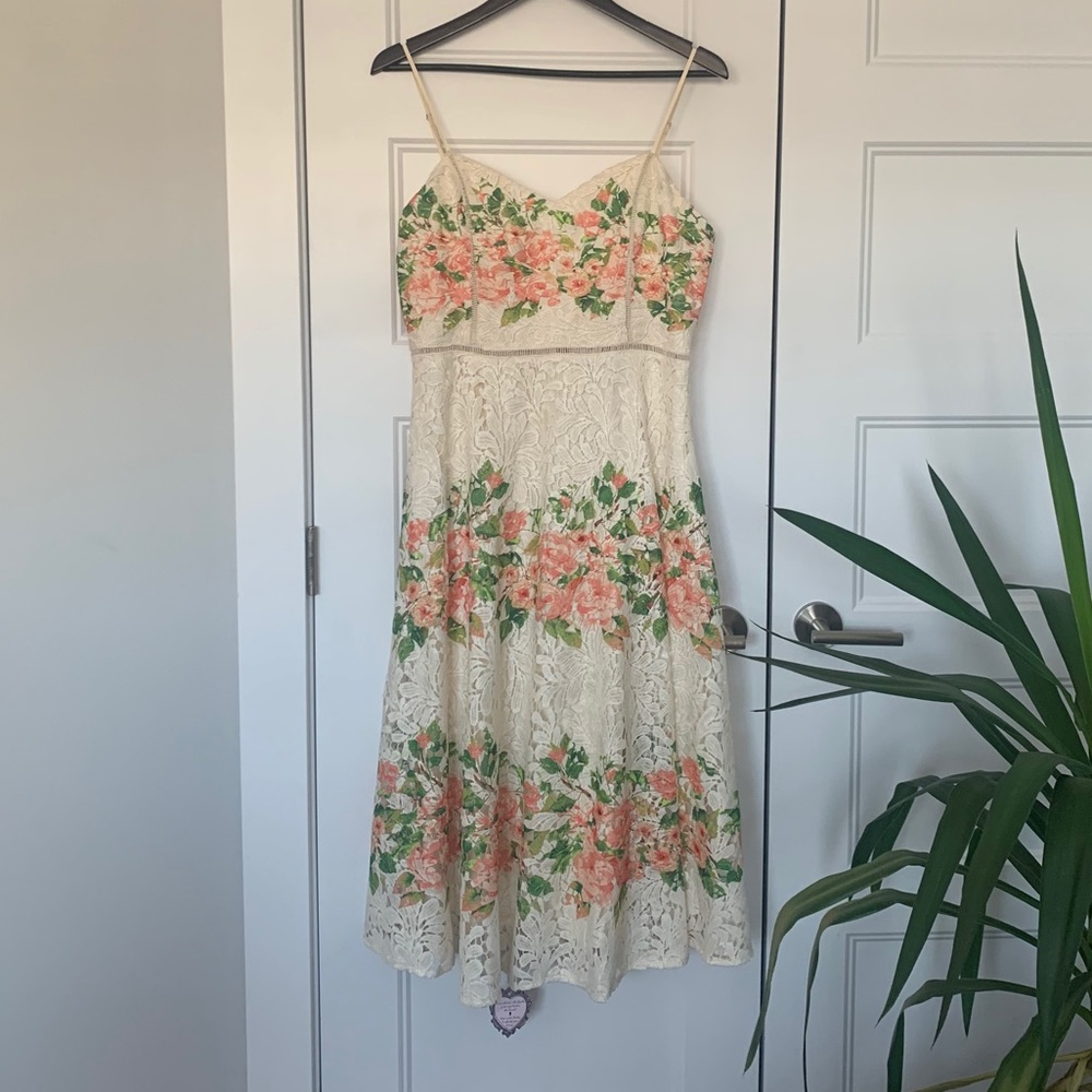 Off White Lace Overlay Boutique 1861 Dress